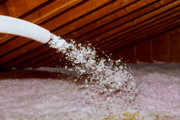 Best Insulation for Specific Applications in Hamshire, TX